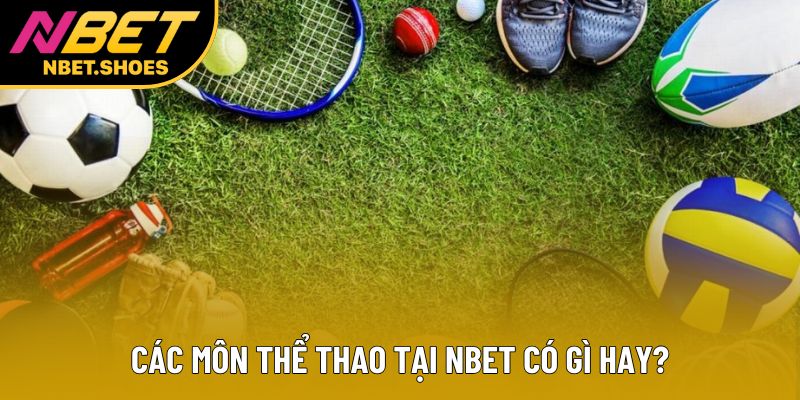Các môn thể thao tại Nbet có gì hay? Các môn thể thao tại Nbet có gì hay?