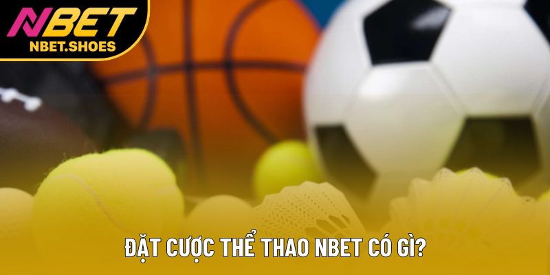 Đặt cược thể thao Nbet có gì? Đặt cược thể thao Nbet có gì?