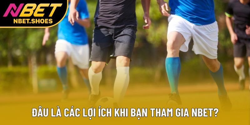 Đâu là các lợi ích khi bạn tham gia Nbet? Đâu là các lợi ích khi bạn tham gia Nbet?