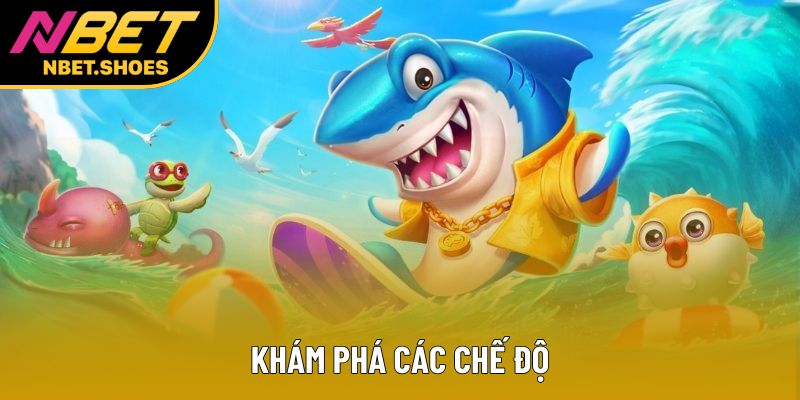 Khám phá các chế độ