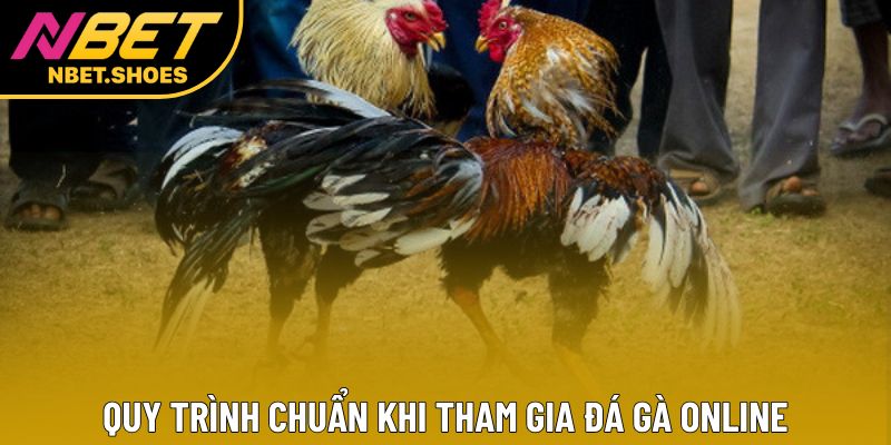 Quy trình chuẩn khi tham gia đá gà online